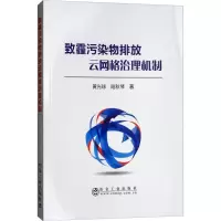 音像致霾污染物排放云网格治理机制黄光球,陆秋琴 著