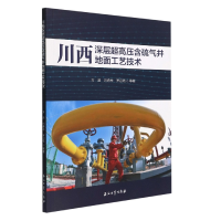 音像川西深层超高压含硫气井地面工艺技术方进 等