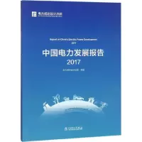 音像中国电力发展报告.2017电力规划设计总院 编著
