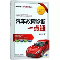 音像汽车故障诊断一点通栾琪文 著