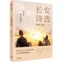 音像长安诗选追光动画,韩潇