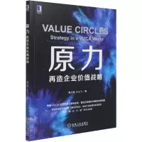 音像原力(再造企业价值战略)童文锋,杜义飞 著