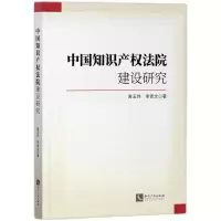 音像中知识权法院建设研究黄玉烨 李青文