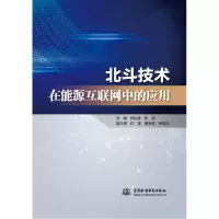 音像北斗技术在能源互联网中的应用杨迎春,张颉