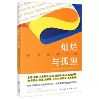 音像灿烂与孤独(德语经典小说)黄敬甫、李柳明、林立新著