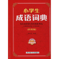 音像小学生成语词典徐成志 编著