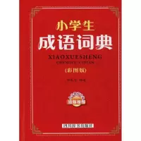 音像小学生成语词典徐成志 编著