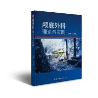 音像颅底外科:理论与实践岳树源主编