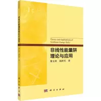 音像非线能量阱理论与应用黎文科,杨铁军