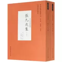 音像张九成集(宋元明清哲学类上下)/中外哲学典籍大全[宋]张九成