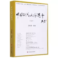 音像中国当代文学选本(第2辑)王昕朋