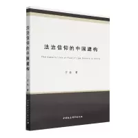 音像法治信仰的中国建构汪岳