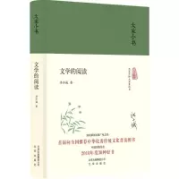音像文学的阅读洪子诚 著