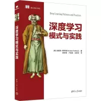 音像深度学模与实践(美)安德鲁·费利奇
