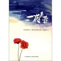 音像一夜芙蓉/周占林周占林