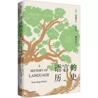 音像语言的历史(新西兰)史蒂文·罗杰·费舍尔