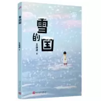 音像雪的国/王璐琪少年小说系列王璐琪