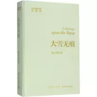 音像大雪无痕陆天明 著