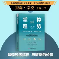 音像掌控趋势:解读经济指标与数据的价值(美)杰森·辛克