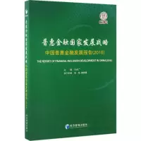 音像普惠金融发展战略贝多广 主编