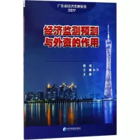 音像经济监测预测与外资的作用陈鸿,王曦,王茜 著