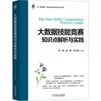 音像大数据技能竞赛知识点解析与实践主编 李辉 张莹 卢兴民