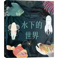 音像水下的世界(瑞典)亚历山德拉·达尔奎斯特