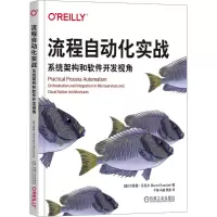 音像流程自动化实战 系统架构和软件开发视角(德)贝恩德·吕克尔