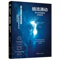 音像暗流涌动(透过非显著趋势预测未来)罗希特·巴尔加瓦