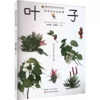 音像我身边的自然课 叶子刘宏涛,张莉俊