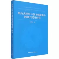 音像集约式经营与技术创新能力跨越式提升研究王鹤春 著