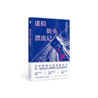 音像虚拟街头漂流记宠物先生