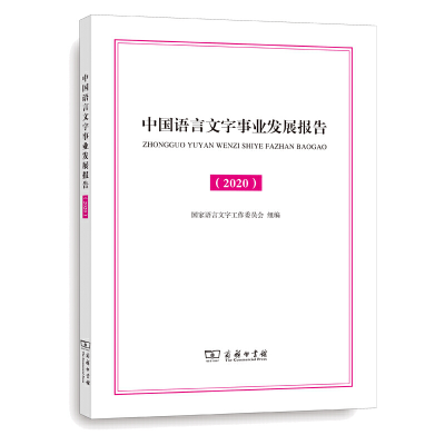 音像中国语言文字事业发展报告(2020)蔡存明