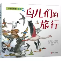 音像鸟儿们的旅行(法)米夏尔·弗兰科尼