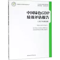 音像中国绿色GDP绩效评估报告欧阳康,赵泽林,熊治东 著