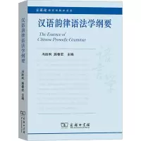 音像汉语韵律语法学纲要冯胜利 施春宏 主编