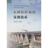音像水闸除险加固实用技术刘咏梅 编著
