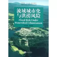 音像流域城市化与洪涝风险许有鹏 等