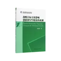 音像战略目标互依影响创新和NPD绩效的机制杨林波