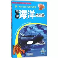音像图解海洋小百科晨风童书 编著