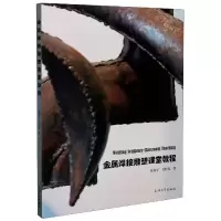 音像金属焊接雕塑课堂教程张海平,卫恒先