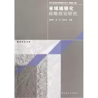 音像省域城镇化战略规划研究/城市与区域空间研究前沿丛书顾朝林