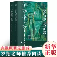音像卡拉马佐夫兄弟(全2册)(俄罗斯)陀思妥耶夫斯基