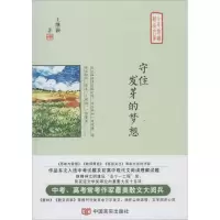 音像守住发芽的梦想王继颖 著;凌翔,王金友 丛书主编