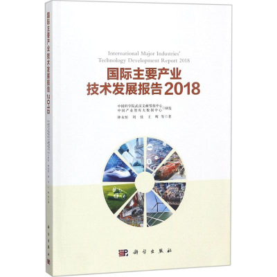 音像国际主要产业技术发展报告.2018钟永恒 等 著