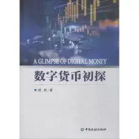 音像数字货币初探姚前 著