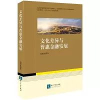 音像文化差异与普惠金融发展巩艳红 著