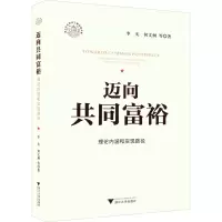 音像迈向共同富裕 理论内涵和实现路径李实 等
