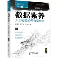 音像数据素养 人工智能如何有据可依龚超,郑子杰,汪辉