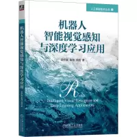 音像机器人智能视觉感知与深度学习应用梁桥康,秦海,项韶